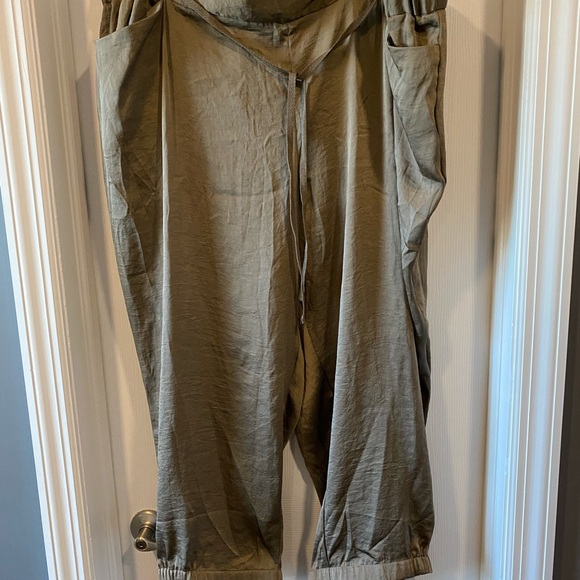 Lane Bryant Capris - Picture 1 of 4